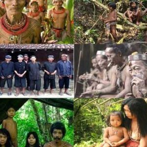 suku asli indonesia